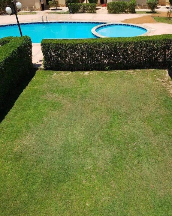 Al-'Amriyah Villa | مارسيليا بيتش 3