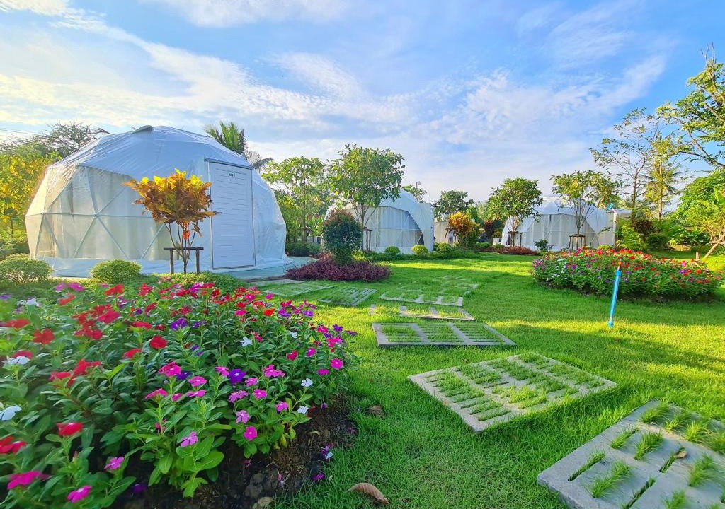 Sa Krathiam House | ปีกุนรีสอร์ท & Swimming pool (Pigoon Resort)