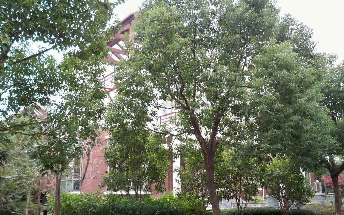 Pudong House | 260 m² House ∙ 5 bedrooms ∙ 8 guests