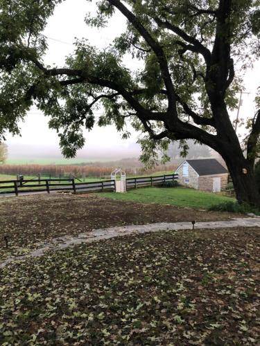 Waynesboro Bed & Breakfast | 34 m² Bed and breakfast ∙ 2 guests