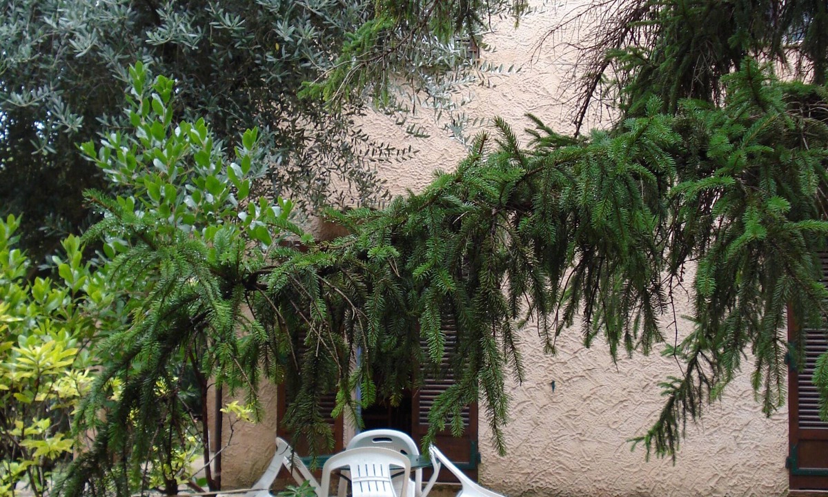 La Bocca Nord Apartment | A haven of peace on garden near Cannes in villa