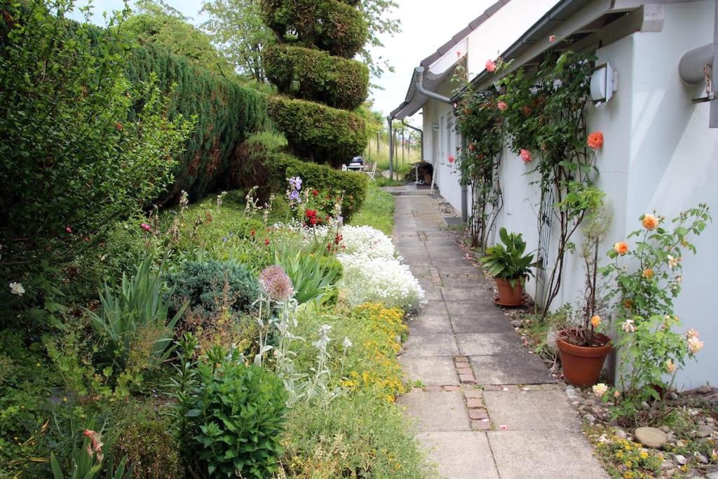 Busingen am Hochrhein Apartment | Appartement Paradiso