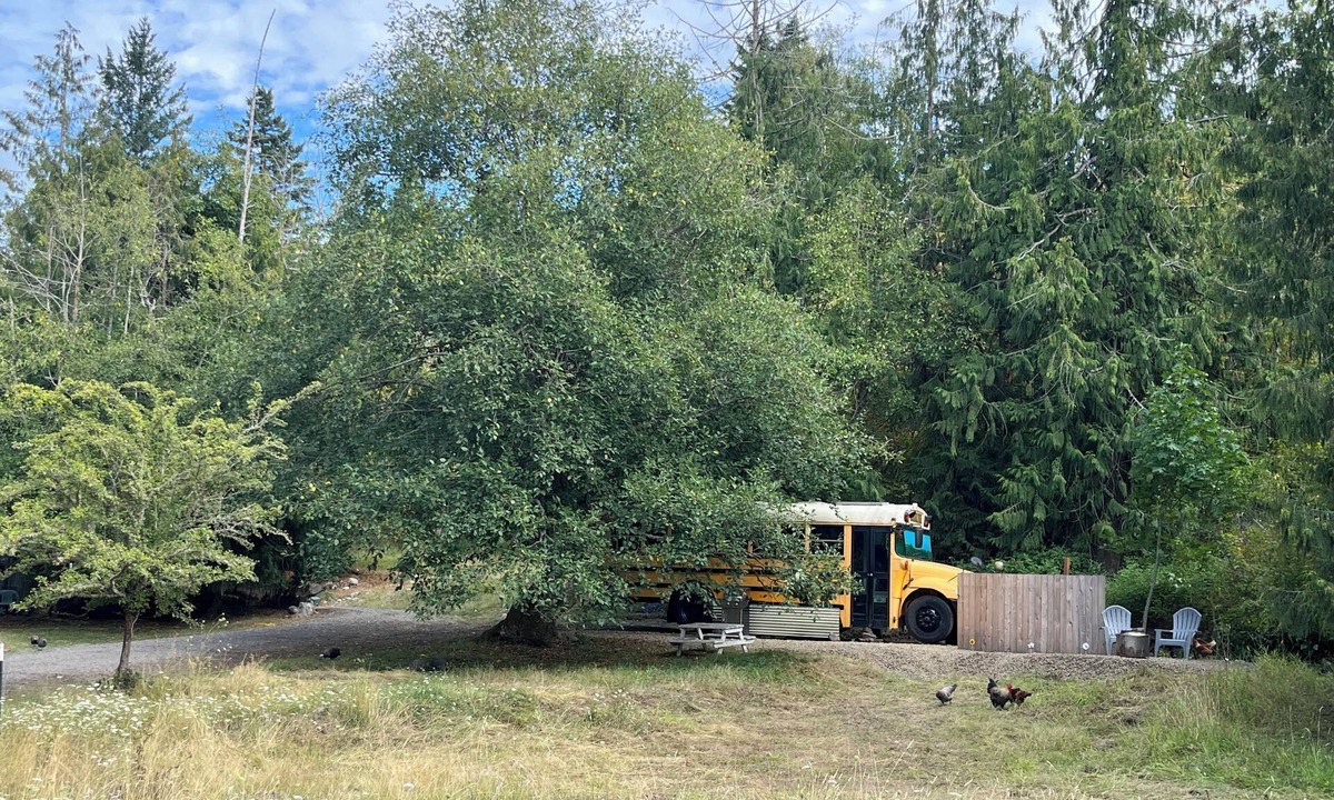 Rainier House | Bee Haven Bus at the RMR Farmstead with hot tub