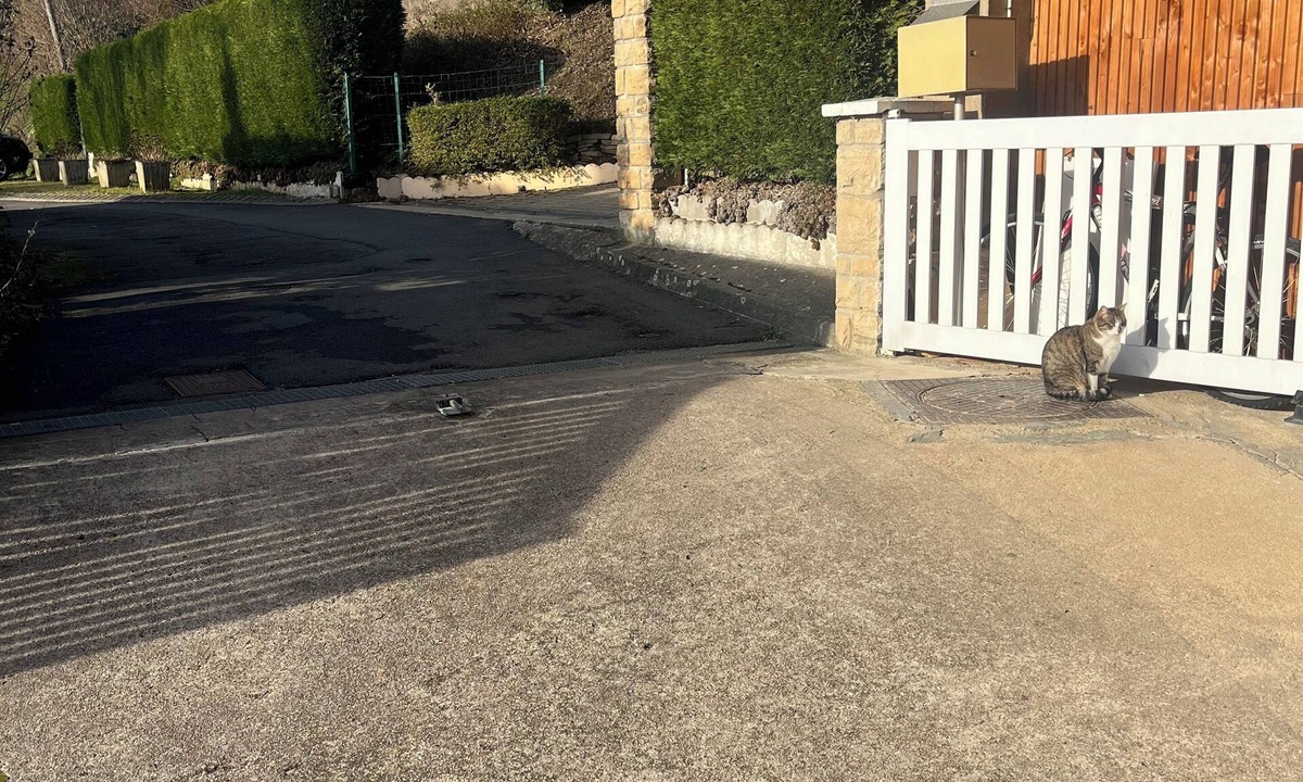 Charnay-les-Macon Apartment | Comfortable, central accommodation