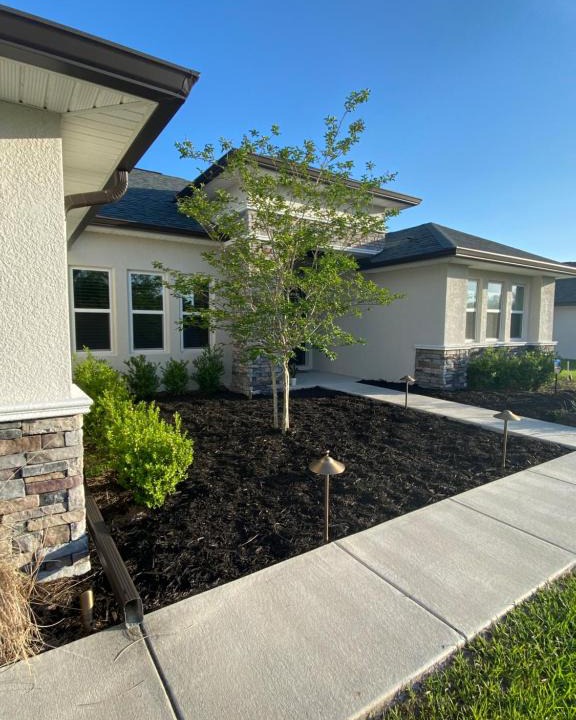Spring Hill House | ENTIRE HOME MINUTES TO WEEKI WACHEE and HOSPITAL