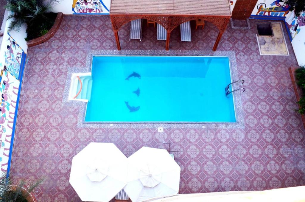 Luxor Apartment | Hermina Guest House