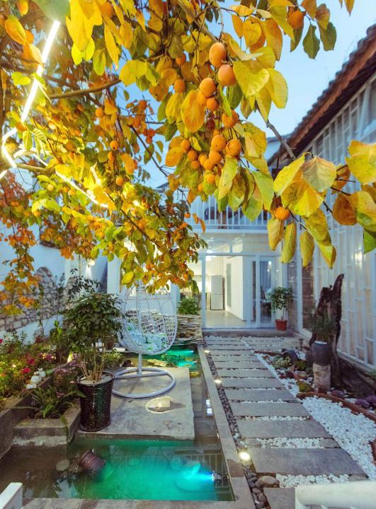 Dali Ancient Town Villa | Honglin Houseg虹林的小院 防疫整栋 古城里温馨私家小院 享受大理慢时光 树下喝茶聊天 烧烤娱乐自助厨房 休闲好去处