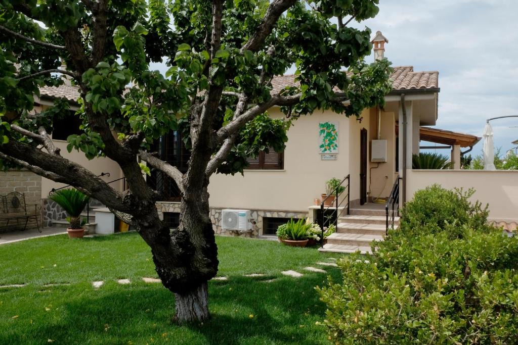Cerreto Bed & Breakfast | L'Albicocco