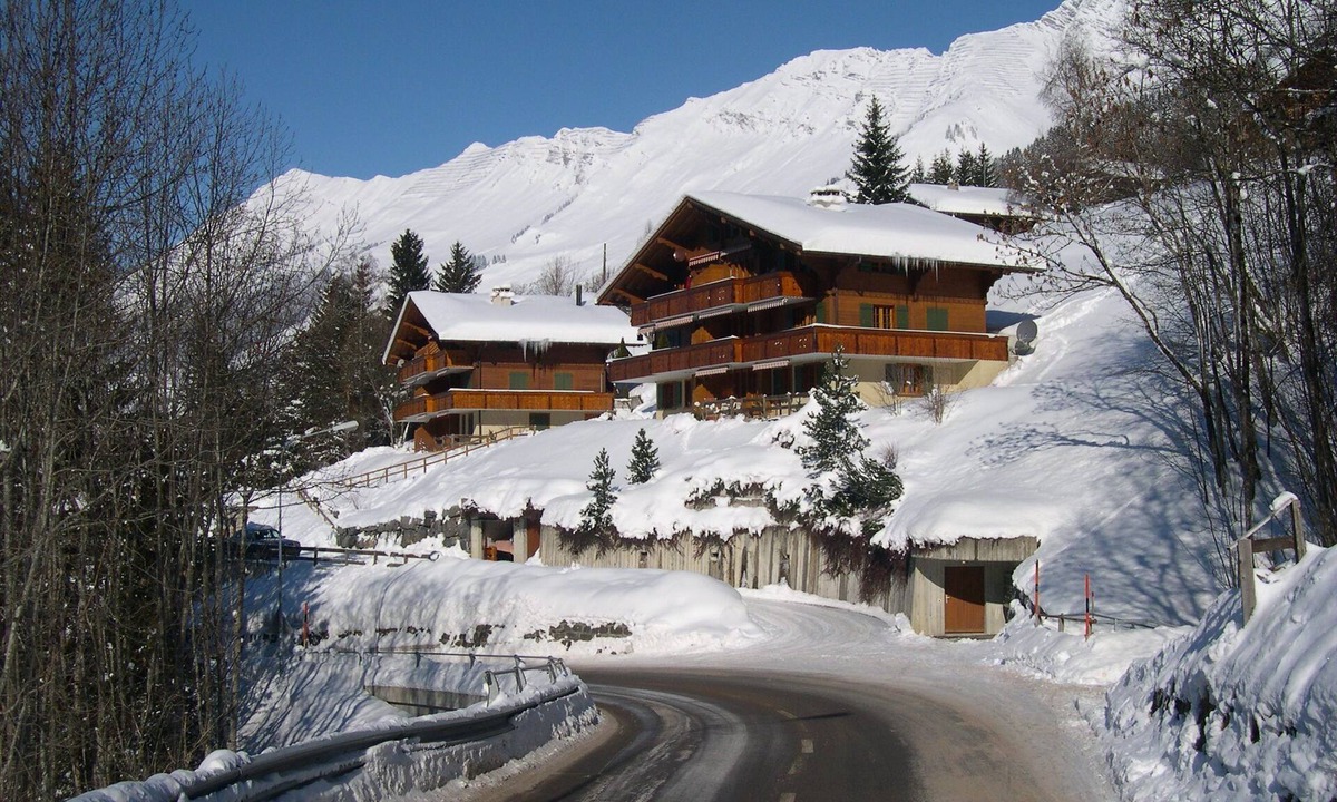 Ormont-Dessus Apartment | Les DIABLERETS Apartment confortable à 5 minutes du Glacier 3000