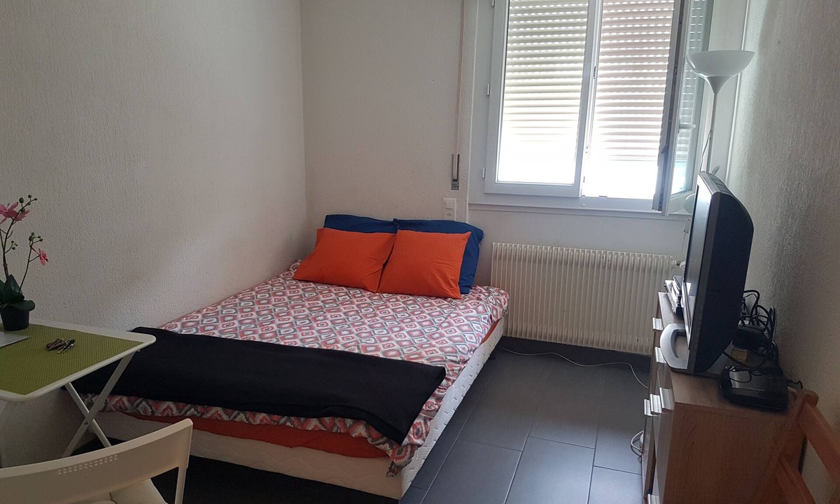 Plainpalais Apartment | Small friendly Studio, close to the center of Geneva, quiet