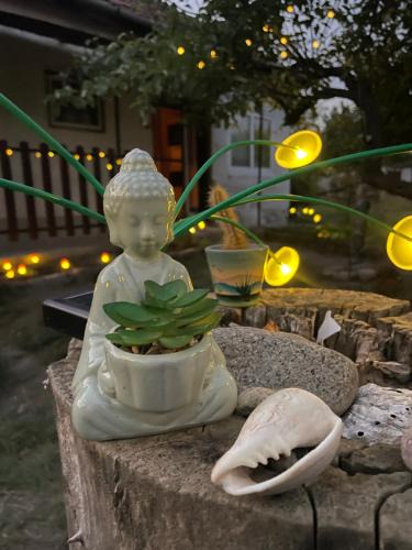 Ozora Hostel | The Ozorian Retreat