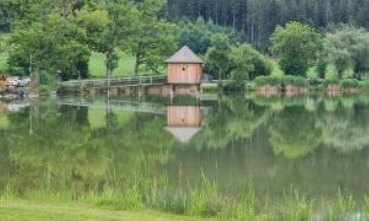 Sankt Veit an der Glan Apartment | The1st Guesthouse "Apartment Lakehouse Style" with terrace and lake view