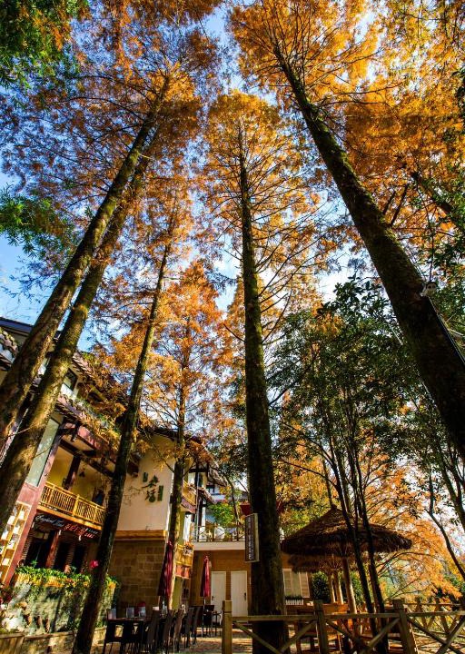 Wuyishan House | Wuyi Mountain Ancient Street Forest Living England Time Inn