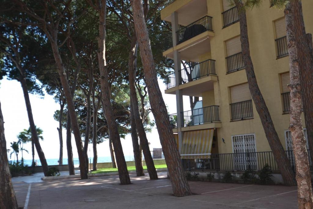 Pins Mar | Cambrils