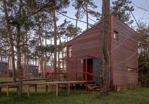 Bungalow B9 - Nature, Beach & River