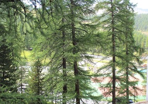 Charming Studio in Vars, 30m from Slopes, Sleeps 4