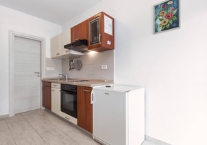 Cosy apartment with garden view near the beach