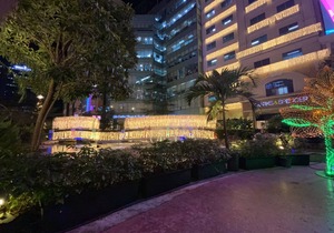 Exquisite 2 bedroom Suite At Eastwood City!