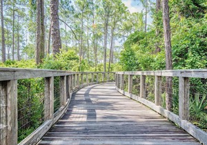 Holiday homes in Santa Rosa Beach, FL, USA