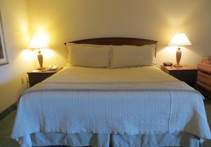 Holiday Inn Indianapolis - Airport Area N by IHG