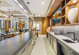 Ideal Business Traveler Getaway | Upscale Amenities | Reston