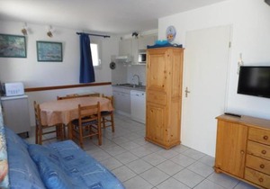 Maison mitoyenne duplex avec terrasse, garage et parking, proche plage, équipée pour 4 à 6 personnes - FR-1-326-385