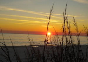 Newly Renovated with Great Location on the Gulfside.
