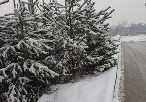 Royal Bansko Aparthotel 206D