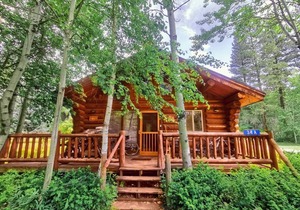 Sleeping Wolf Cabin 1BR w/ski trail & river access, pool/hot tub, laundry