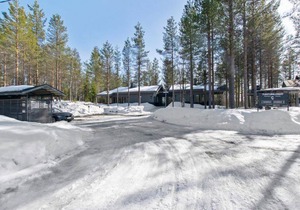 Tunturipöllö 2