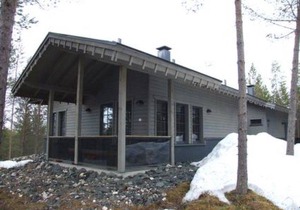 Tunturipöllö 3