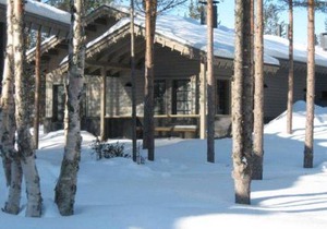 Tunturipöllö 3