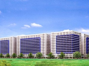Moa Pasay | Barangay 76