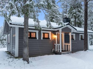 Senaattori | Yllasjarvi