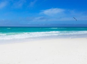 Summerhouse Beach | Biltmore Beach