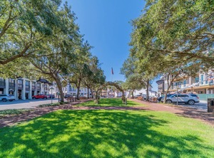 Winston At Rosemary Carriage | Rosemary Beach