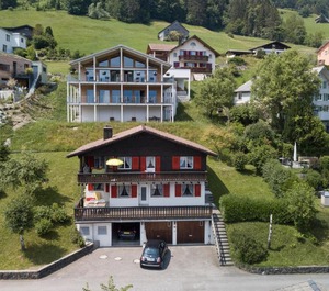 Bergdohle 