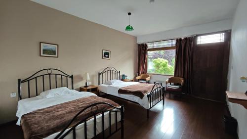 Baisha Old Town Hostel | 登巴雪山国际青年客栈