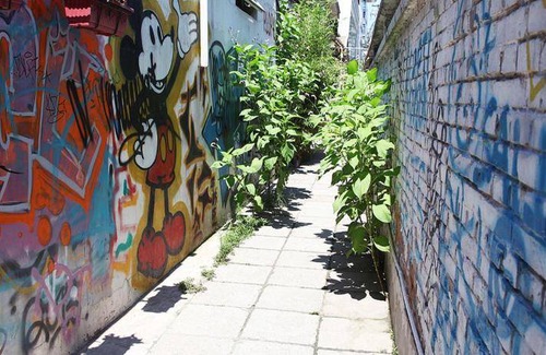Dongcheng Hostel | 30 m² Hostel ∙ 3 bedrooms ∙ 6 guests