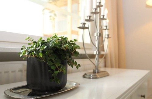 Espoo Apartment | 39 m² Apartment ∙ 2 guests