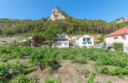 Zastrazisce Apartment | Apartments and Rooms Stjepan (31771-A1) - Zastrazisce - island Hvar
