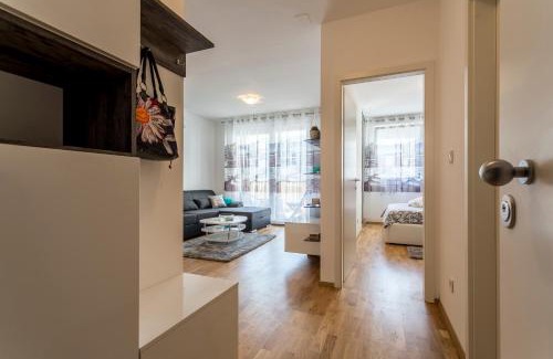 Mejasi Apartment | Apartment Luka