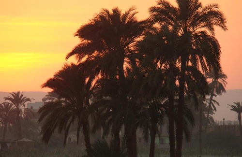 Luxor Apartment | Hermina Guest House