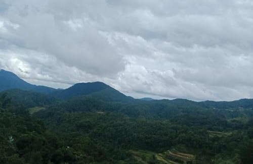 Banaue Hotel | TAM-AN HOTEL BANAUE