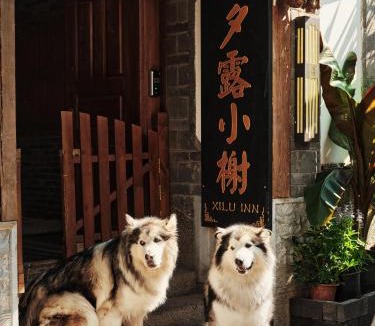 Dayan Old Town House | 夕露小榭古城南门店 Xilu Xiaoxie Inn Old Town Lijiang
