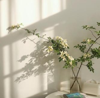 Dali Town House | 大理十二花园民宿