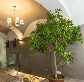 Gyor Apartment | 24 m² Apartment ∙ 3 guests