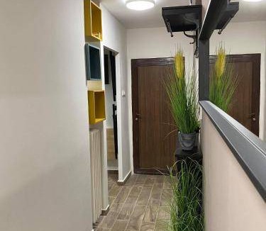 Ohegy Apartment | 47 m² Apartment ∙ 1 bedroom ∙ 4 guests