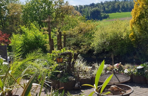 Siglistorf Apartment | 70 m² Apartment ∙ 2 bedrooms ∙ 5 guests
