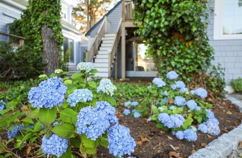 Harwich Port Hotel | Allen Harbor Rentals